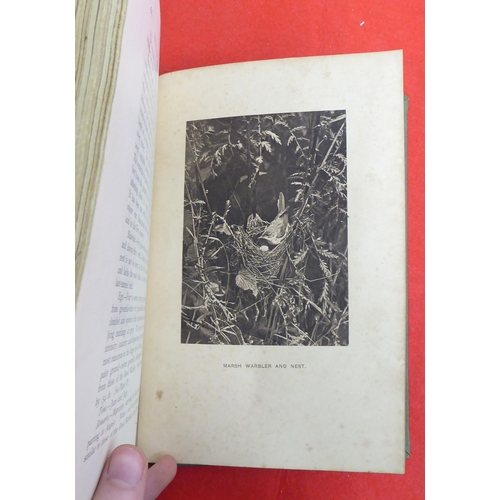 215 - Book: 'British Birds Nests, How, Where and When to Find and Identify them' by Richard Kearton  New E... 