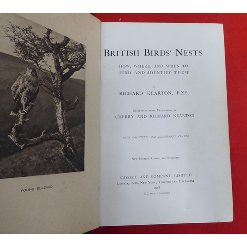 215 - Book: 'British Birds Nests, How, Where and When to Find and Identify them' by Richard Kearton  New E... 