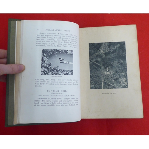 215 - Book: 'British Birds Nests, How, Where and When to Find and Identify them' by Richard Kearton  New E... 