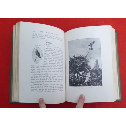 215 - Book: 'British Birds Nests, How, Where and When to Find and Identify them' by Richard Kearton  New E... 