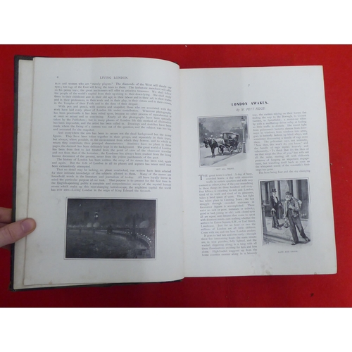 217 - Book: 'Living London'  edited by George R Sims  1901, in one volume