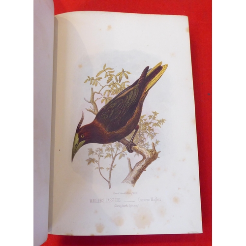 22 - Books: 'Cassells Book of Birds' from the text of Dr.Brehn by Thomas Rymer Jones, in four volumes wit... 