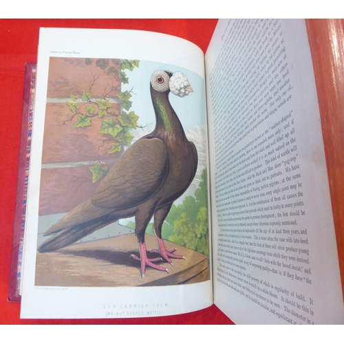 26 - Book: 'The illustrated Book of Pigeons' by Robert Fulton, illustrated with coloured plates, after th... 