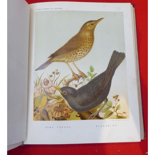 27 - Book: 'The illustrated Book of Canaries and Cage-Birds, British and Foreign' by WA Blakston, W.Sways... 