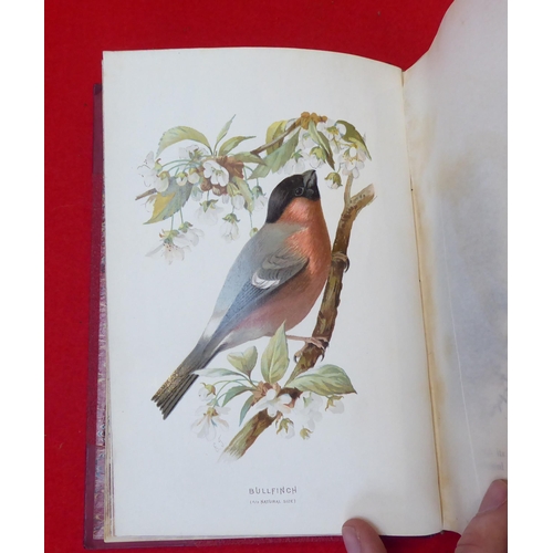 34 - Books: 'Familiar Wild Birds' by W.Swaysland  First Series with coloured plates  1883, in four volume... 