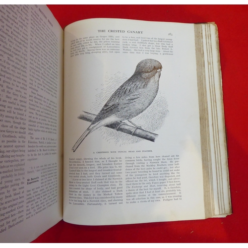 35 - Book: 'Canaries, Hybrids and British Birds in Cage and Aviary' by John Robson, edited by SH Lewer  1... 