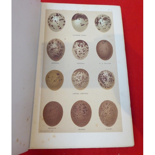 44 - Book: 'British Bird Eggs' by Henry Seebohm  1904, in one volume