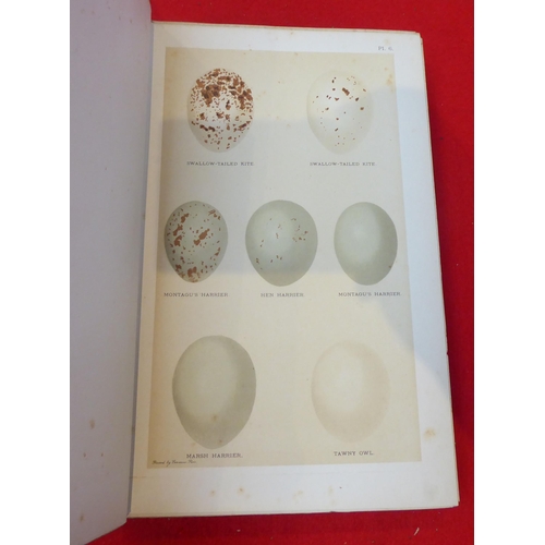 44 - Book: 'British Bird Eggs' by Henry Seebohm  1904, in one volume