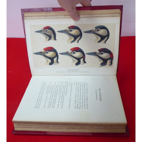 5 - Books: 'Coloured Figures of the Birds of the British Islands', issued by Lord Lilford  1885-1897, in... 