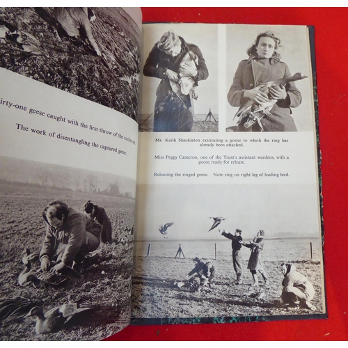 50 - Books: 'The Second Annual Report of the Seven Wildfowl Trust'  circa 1948/49; and similar later edit... 