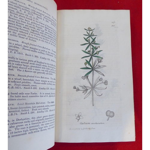 55 - Books: 'English Botany, Coloured Plates of British Plants' by James Sowerby  Second Edition  circa 1... 