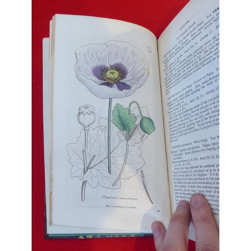 55 - Books: 'English Botany, Coloured Plates of British Plants' by James Sowerby  Second Edition  circa 1... 