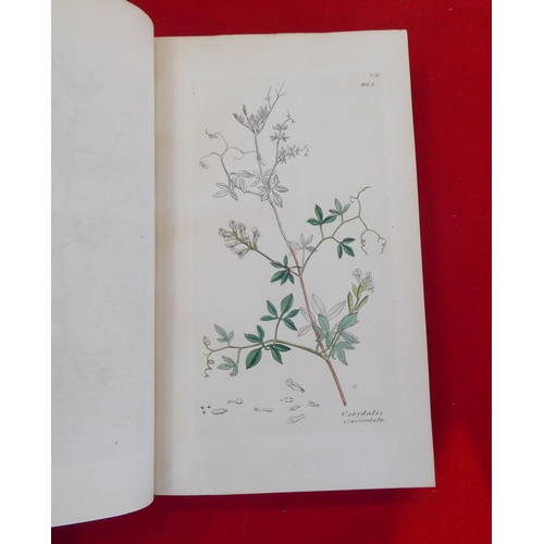 55 - Books: 'English Botany, Coloured Plates of British Plants' by James Sowerby  Second Edition  circa 1... 