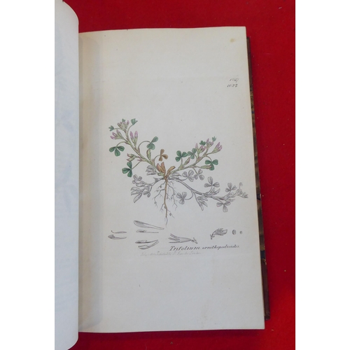 55 - Books: 'English Botany, Coloured Plates of British Plants' by James Sowerby  Second Edition  circa 1... 