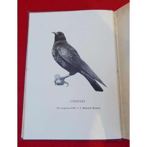 59 - Books: 'British Birds for Cages, Aviaries and Exhibition' by Sumner W Birchley  1909, in two volumes