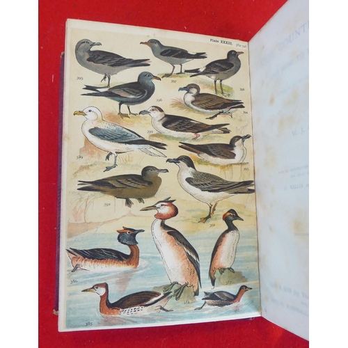 73 - Six books, birds, eggs and similar, mainly 19thC: to include works by HG Adams