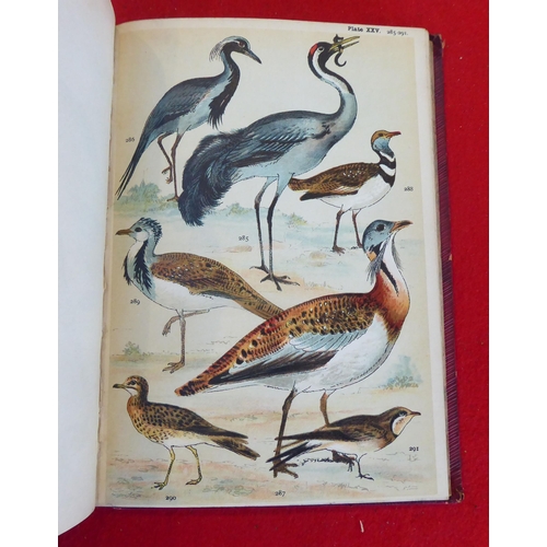 73 - Six books, birds, eggs and similar, mainly 19thC: to include works by HG Adams