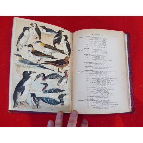 73 - Six books, birds, eggs and similar, mainly 19thC: to include works by HG Adams