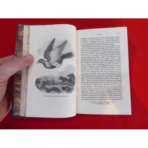 73 - Six books, birds, eggs and similar, mainly 19thC: to include works by HG Adams