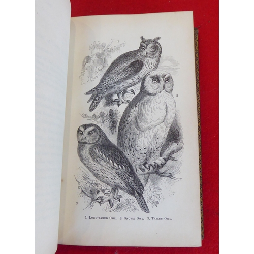 73 - Six books, birds, eggs and similar, mainly 19thC: to include works by HG Adams