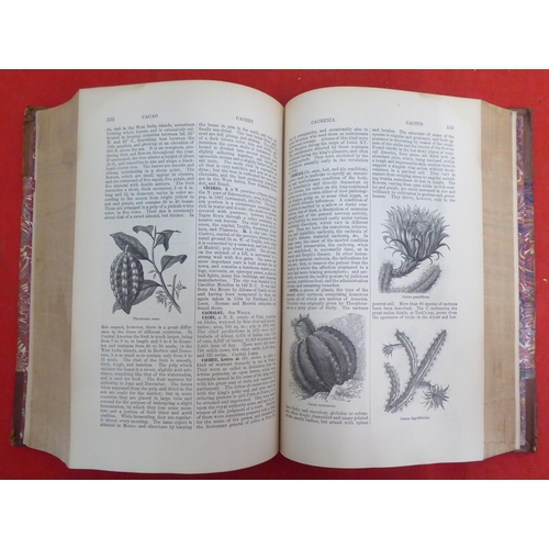 176 - Books: 'The American Cyclopaedia' edited by George Ripley and Charles Dana  1881, in sixteen volumes