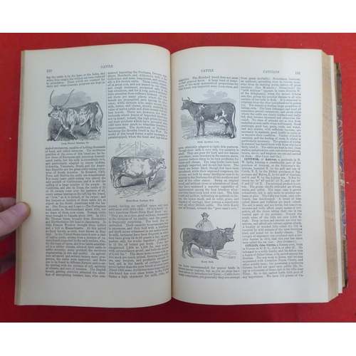 176 - Books: 'The American Cyclopaedia' edited by George Ripley and Charles Dana  1881, in sixteen volumes