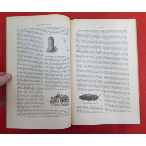 176 - Books: 'The American Cyclopaedia' edited by George Ripley and Charles Dana  1881, in sixteen volumes