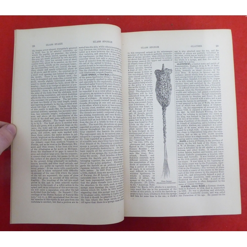 176 - Books: 'The American Cyclopaedia' edited by George Ripley and Charles Dana  1881, in sixteen volumes