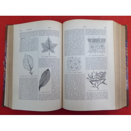 176 - Books: 'The American Cyclopaedia' edited by George Ripley and Charles Dana  1881, in sixteen volumes