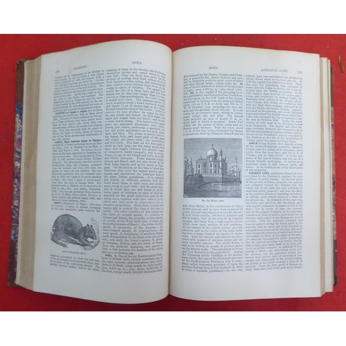 176 - Books: 'The American Cyclopaedia' edited by George Ripley and Charles Dana  1881, in sixteen volumes