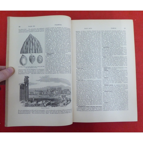 176 - Books: 'The American Cyclopaedia' edited by George Ripley and Charles Dana  1881, in sixteen volumes