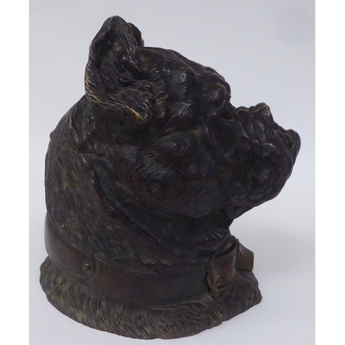 123 - An Austrian patinated bronze novelty desktop tobacco bowl, fashioned as a bulldog's head with a stud... 