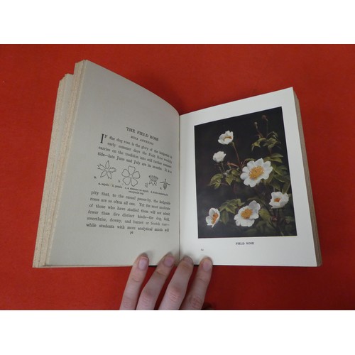 183 - Books: 'Wild Flowers as they Grow' with descriptive text by G Clarke Nuttall  1912, in five volumes