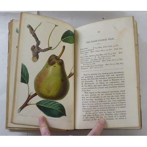 252 - Books: 'Pomologia Britannica, Figures & Descriptions of the Most Important Varieties of Fruit' b... 