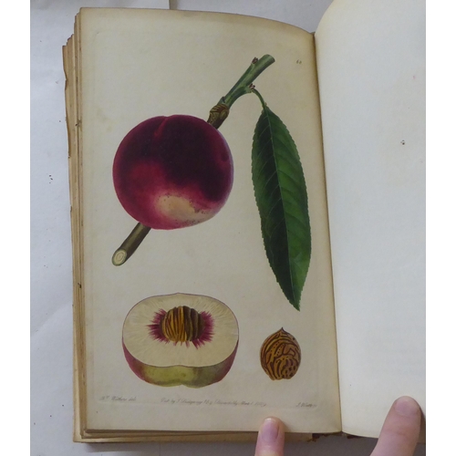 252 - Books: 'Pomologia Britannica, Figures & Descriptions of the Most Important Varieties of Fruit' b... 