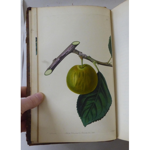 252 - Books: 'Pomologia Britannica, Figures & Descriptions of the Most Important Varieties of Fruit' b... 