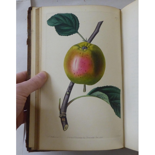 252 - Books: 'Pomologia Britannica, Figures & Descriptions of the Most Important Varieties of Fruit' b... 