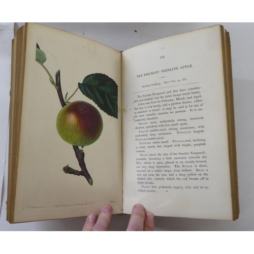 252 - Books: 'Pomologia Britannica, Figures & Descriptions of the Most Important Varieties of Fruit' b... 