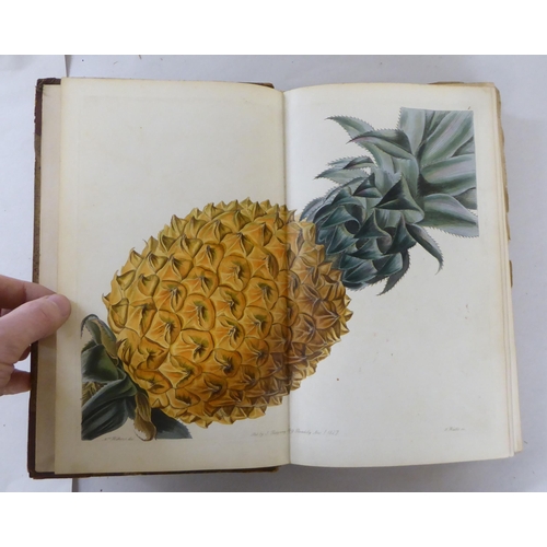 252 - Books: 'Pomologia Britannica, Figures & Descriptions of the Most Important Varieties of Fruit' b... 