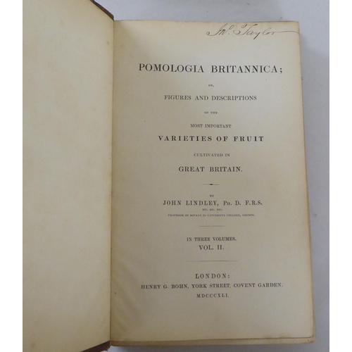 252 - Books: 'Pomologia Britannica, Figures & Descriptions of the Most Important Varieties of Fruit' b... 