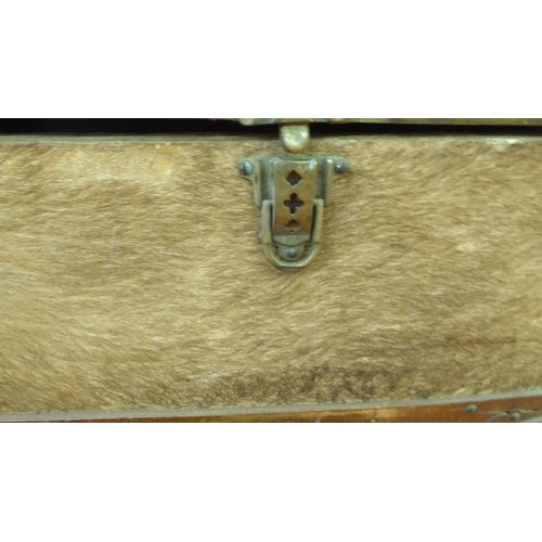 92 - A vintage fur covered and brass mounted trunk with straight sides and domed lid, on a plinth  2... 