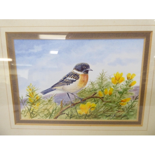 173 - Pictures and prints: to include Richard Robjent - a study of a stonechat on a branch  bears a s... 