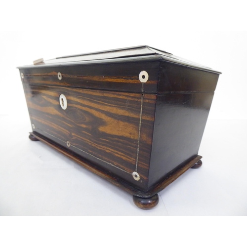 181 - A Regency Coromandel tea casket of sarcophagus form  7