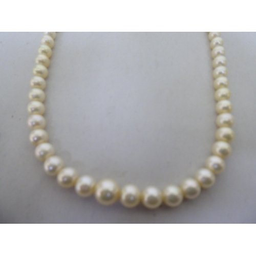 254 - A pearl necklace, on a yellow metal clasp, set with garnets