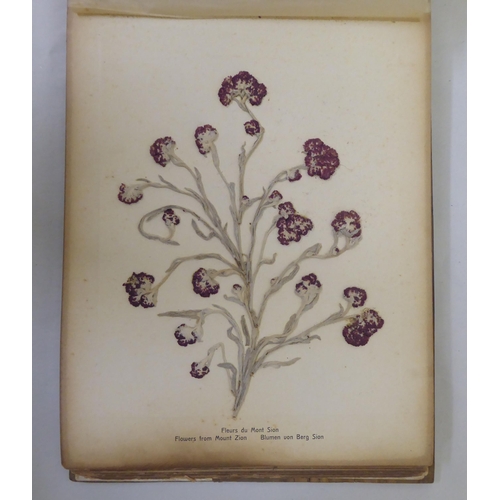 72 - An early 20thC olivewood bound book 'Photographs and Flowers of Hl.Land', featuring dried and presse... 