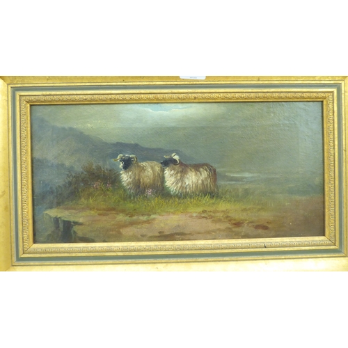 204 - Pictures: to include a late 19thC Scottish highland scene with sheep  oil on canvas  8