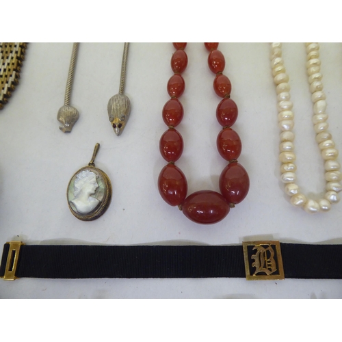 106 - Costume jewellery: to include brooches and necklaces