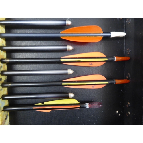 14 - A Yamaha YTD 66 bow and arrow set  cased