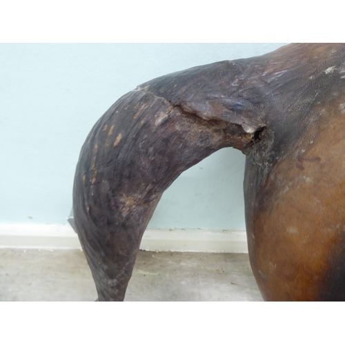 147 - A burnished and moulded hide standing, saddled and bridled model horse  approx. 37