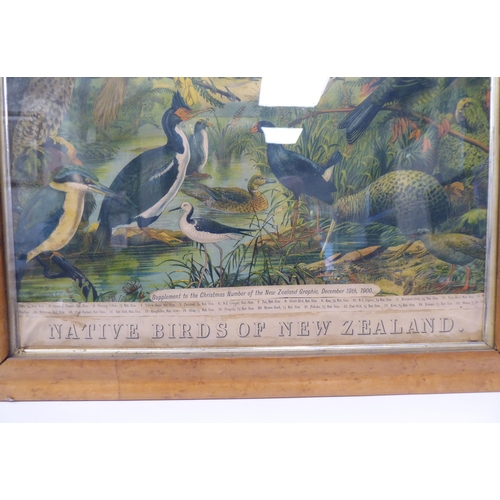 190 - A coloured print poster by Brett Printing Coy. of Auckland, featuring an extract of Native Birds of ... 